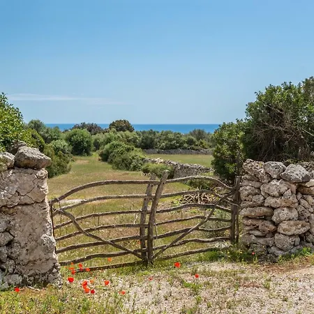 Binicalaf Vell 빌라 *